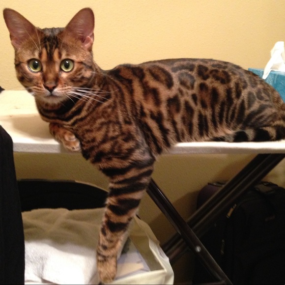 Hi, I’m Karen! - Picture 7 of 9